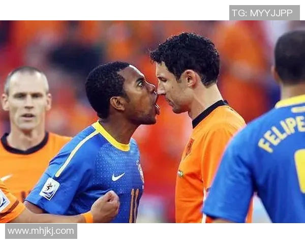 足球明星罗比高清图片欣赏与生平介绍全面解析