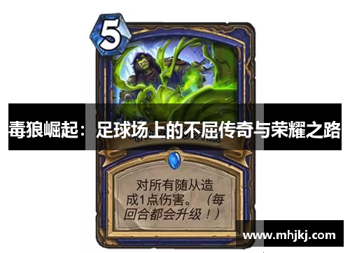 毒狼崛起：足球场上的不屈传奇与荣耀之路