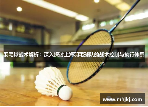 羽毛球战术解析：深入探讨上海羽毛球队的战术控制与执行体系