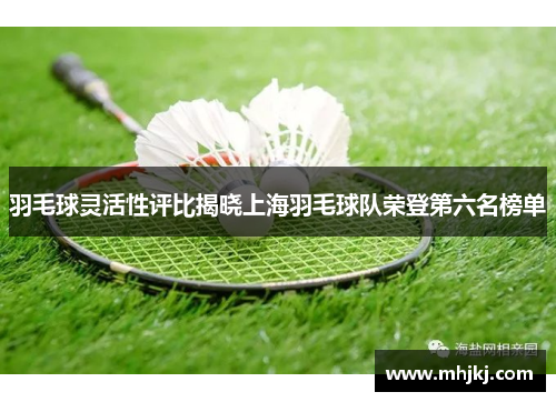 羽毛球灵活性评比揭晓上海羽毛球队荣登第六名榜单
