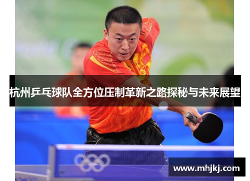 杭州乒乓球队全方位压制革新之路探秘与未来展望
