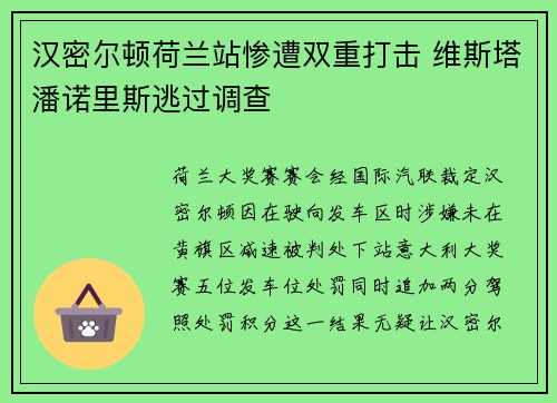 汉密尔顿荷兰站惨遭双重打击 维斯塔潘诺里斯逃过调查
